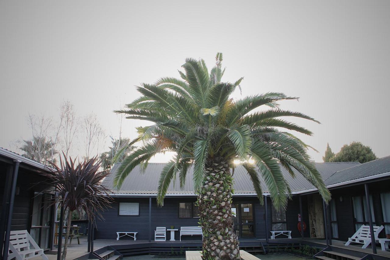 Hugo & Carters Backpackers & Motel Tauranga Exterior photo The pool at the hotel